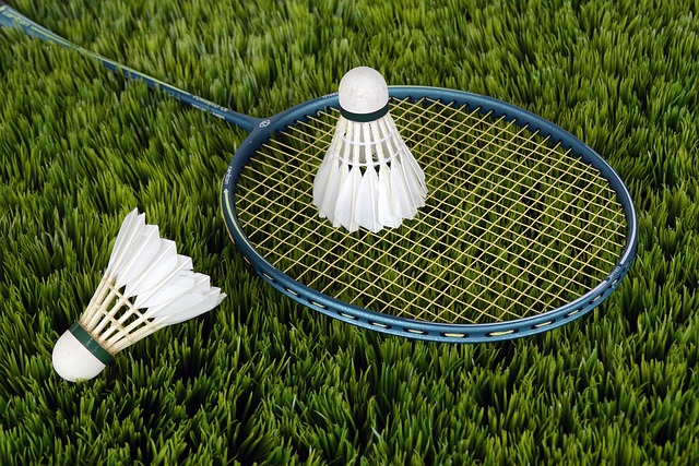 Tags: badminton, sport, shuttlecocks